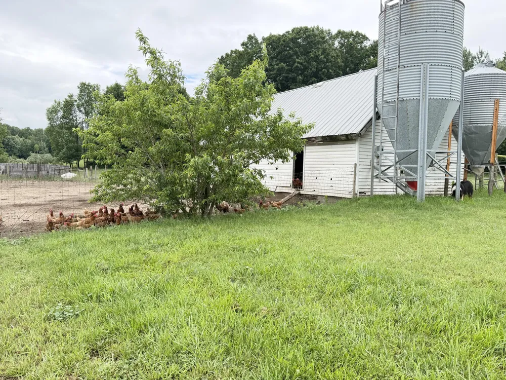 11791 Coates Highway Brethren, MI 49619