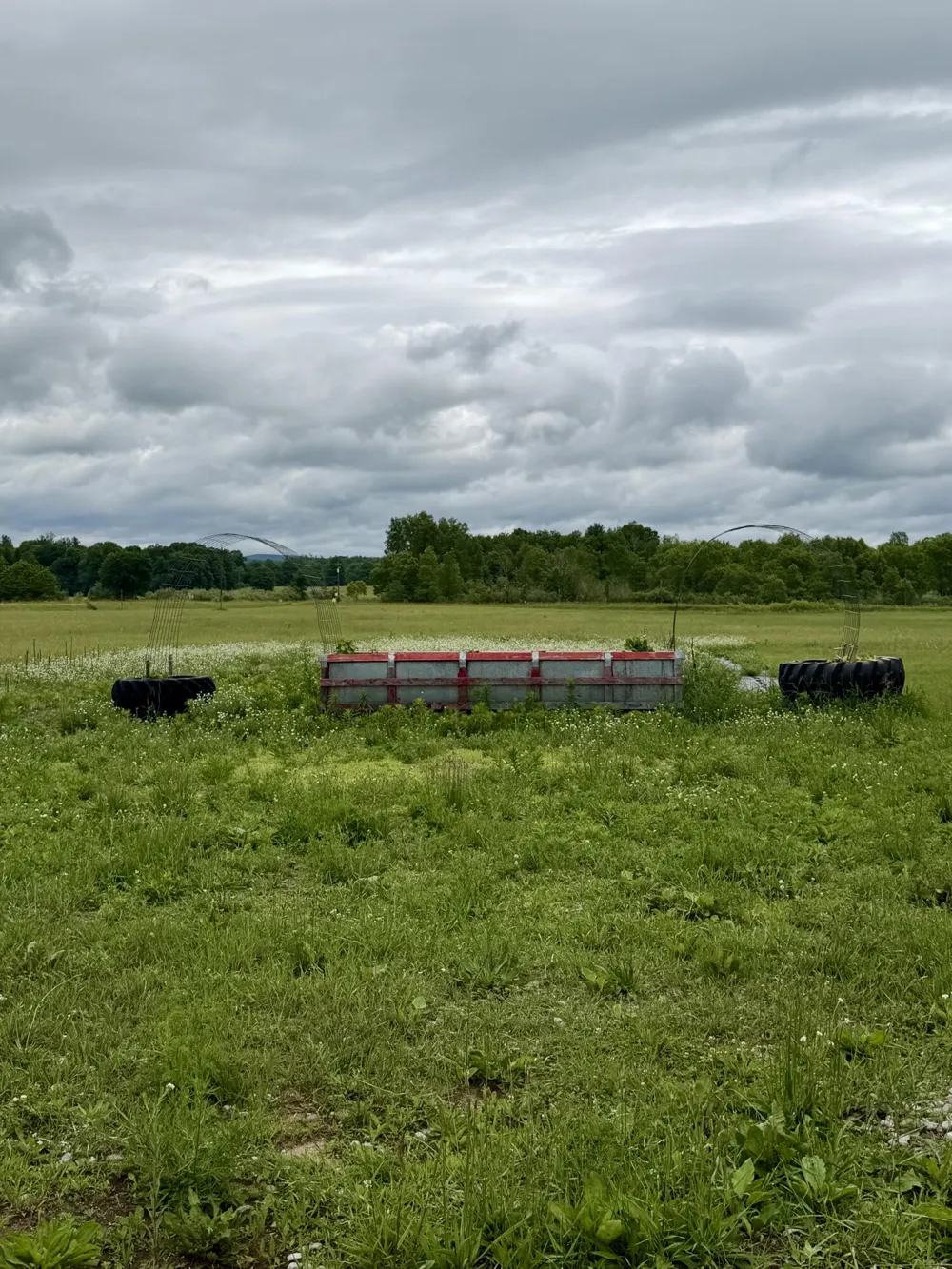 11791 Coates Highway Brethren, MI 49619