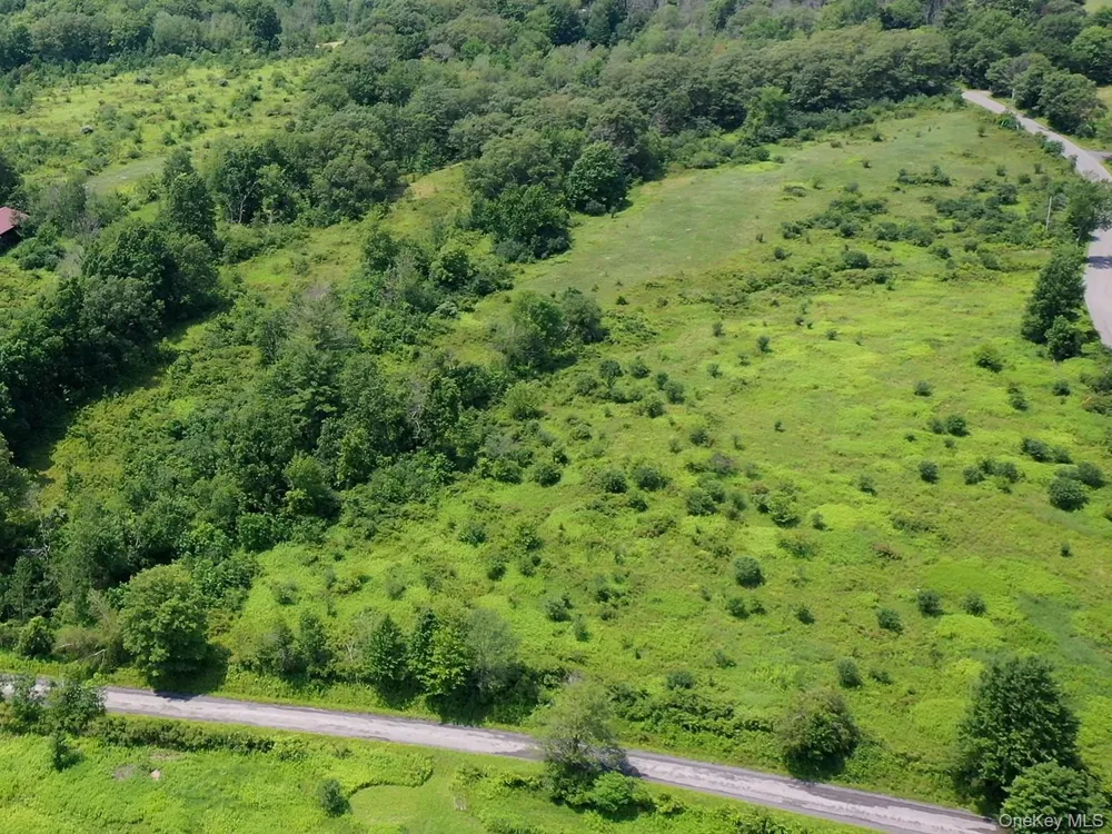 Lot D Louden Road Austerlitz, NY 12107