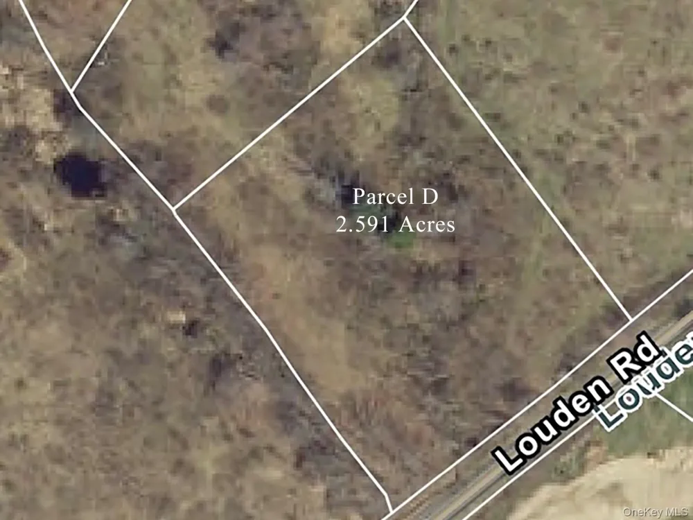 Lot D Louden Road Austerlitz, NY 12107