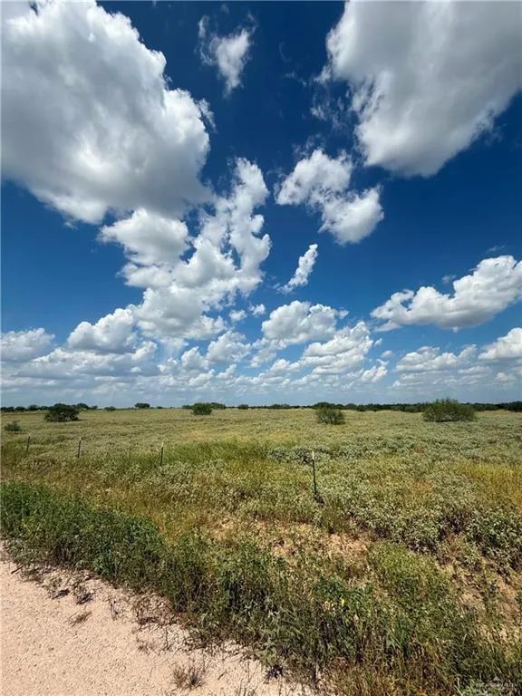 153 Private Road Encino, TX 78353