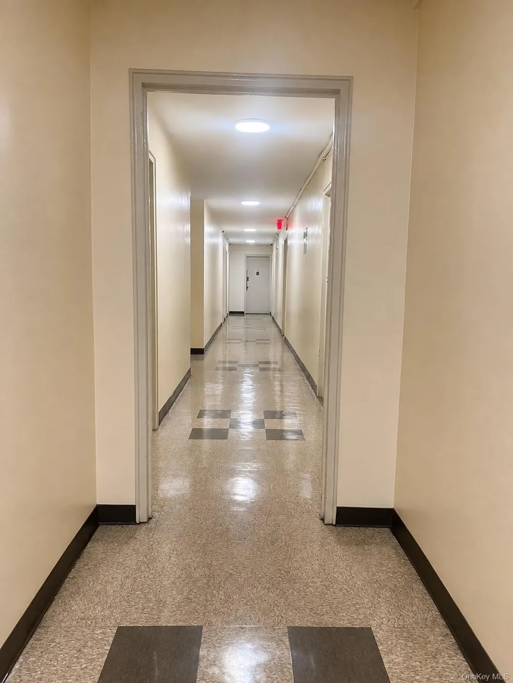 88-30 182nd Street #3F Hollis, NY 11423