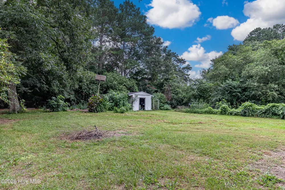 113 Lake Avenue Dudley, NC 28333