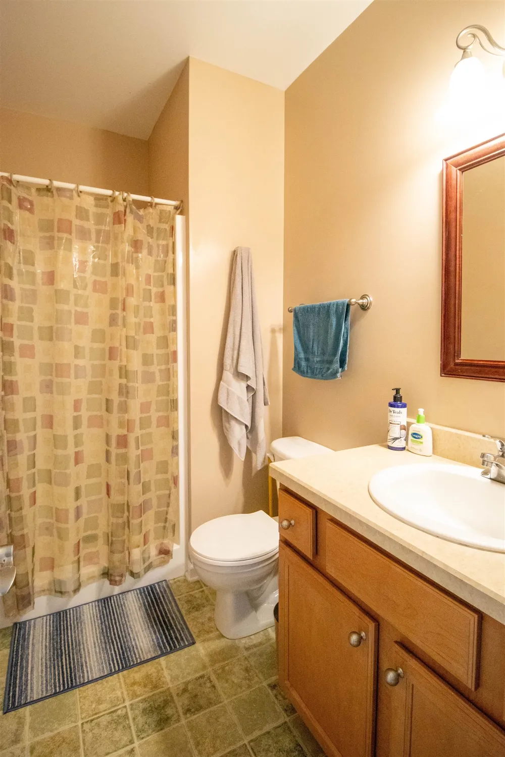 2539 Rushbrook Drive Flint Charter Township, MI 48433