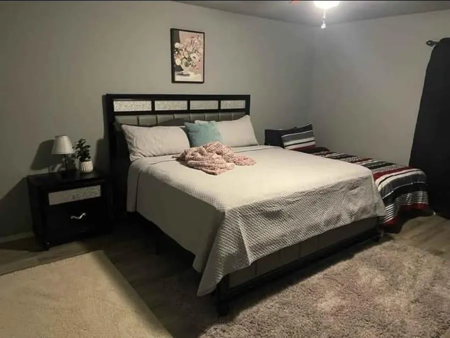 1952 Nemechek Drive Dallas, TX 75217