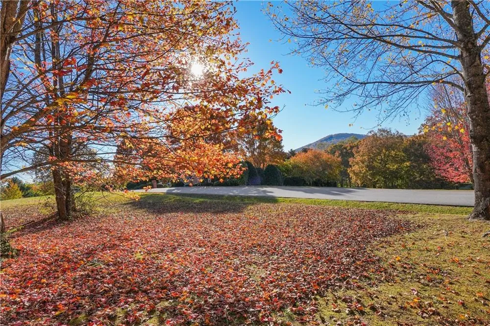 0 Rome Beauty Lane, Lot 4 Clarkesville, GA 30523
