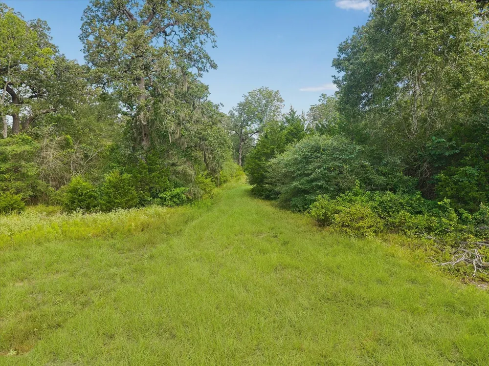 1 Highway 159  West W Bellville, TX 77418