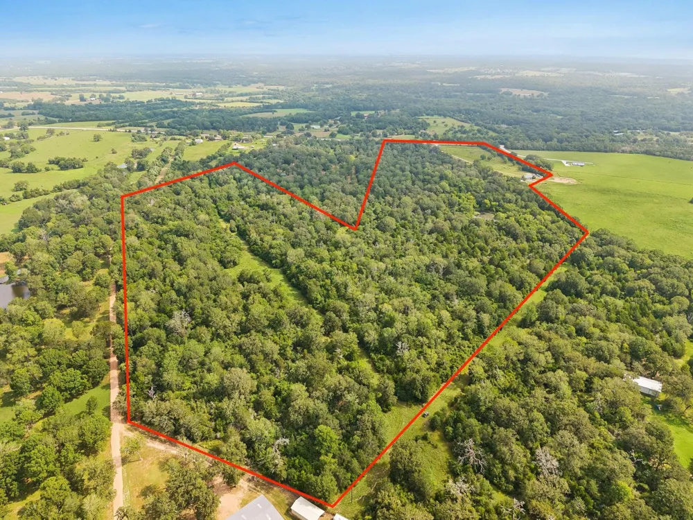 1 Highway 159  West W Bellville, TX 77418