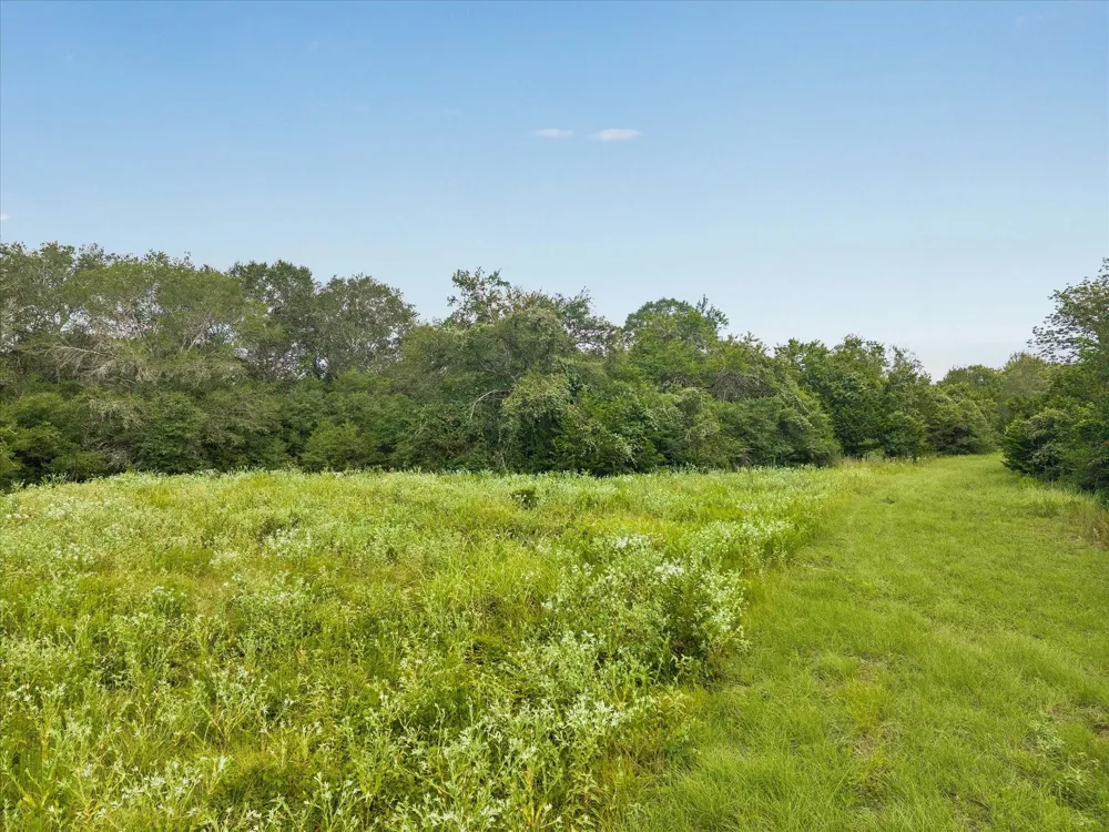 1 Highway 159  West W Bellville, TX 77418