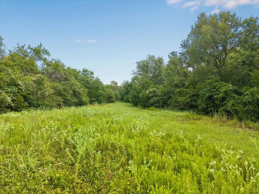 1 Highway 159  West W Bellville, TX 77418