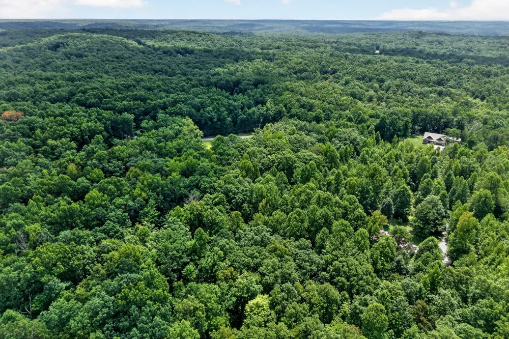 1023 W Laurel Way Monterey, TN 38574