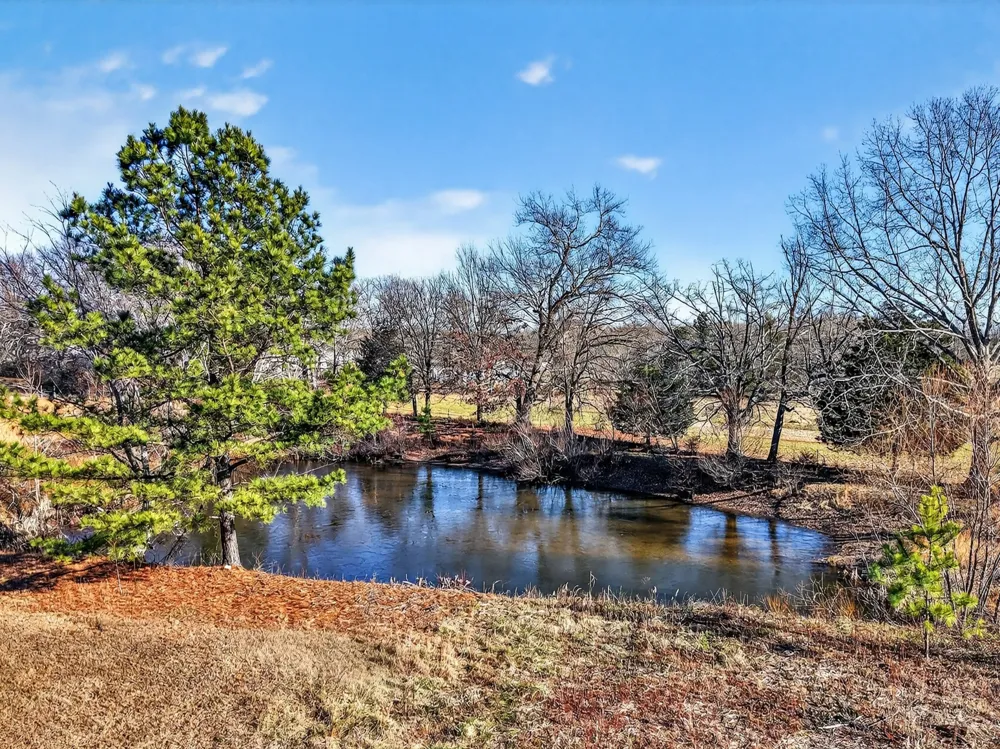8 Prospect Rd Fayetteville, TN 37334