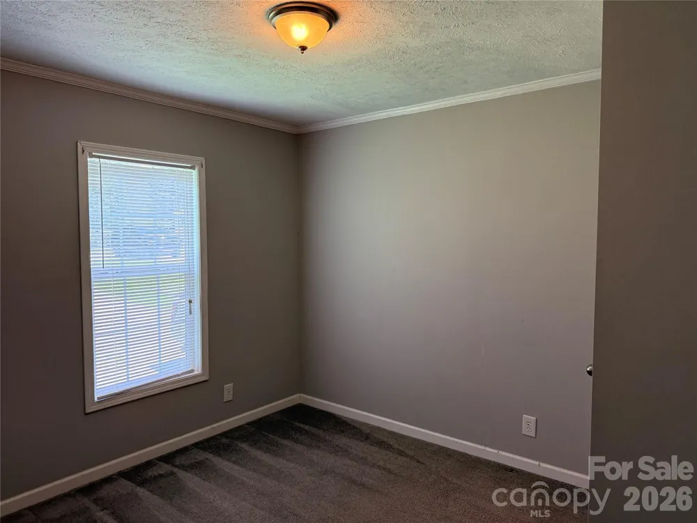 166 Albert Drive Flat Rock, NC 28731