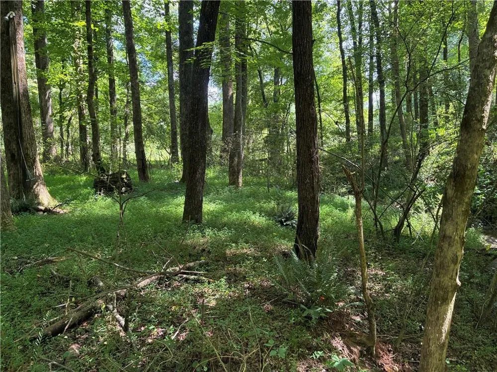 5420 Cantrell Road Dawsonville, GA 30534