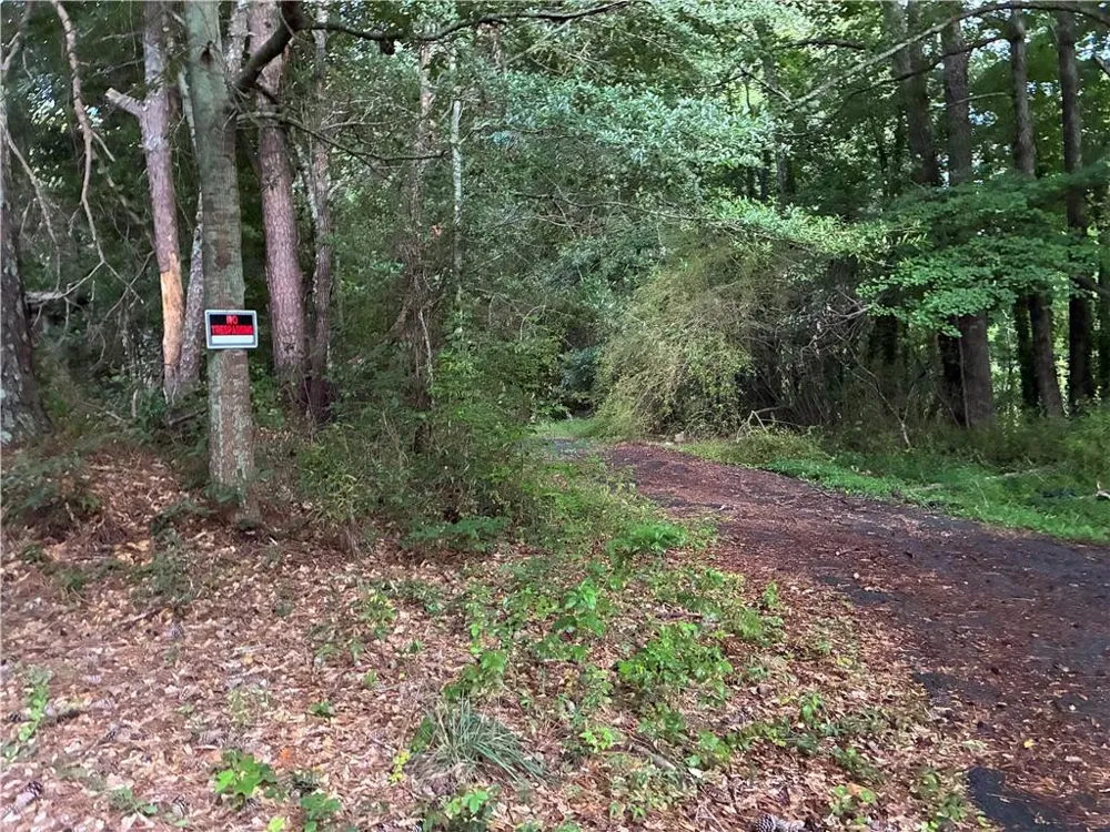 5420 Cantrell Road Dawsonville, GA 30534
