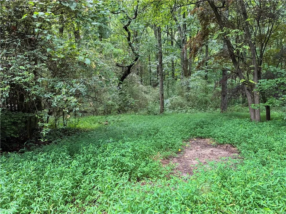 5420 Cantrell Road Dawsonville, GA 30534