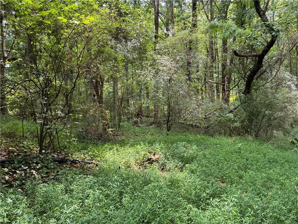 5420 Cantrell Road Dawsonville, GA 30534