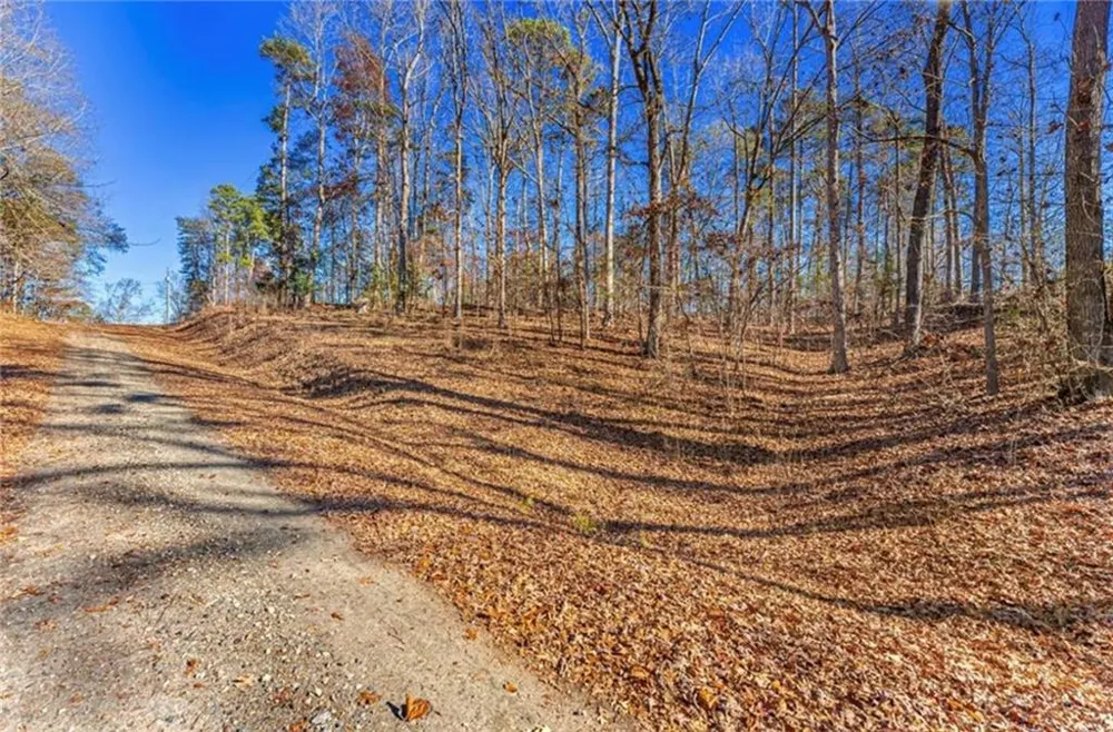 0 Mountain View Road Lavonia, GA 30553