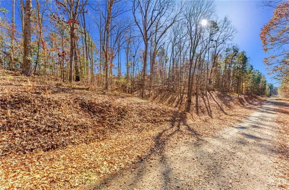 0 Mountain View Road Lavonia, GA 30553