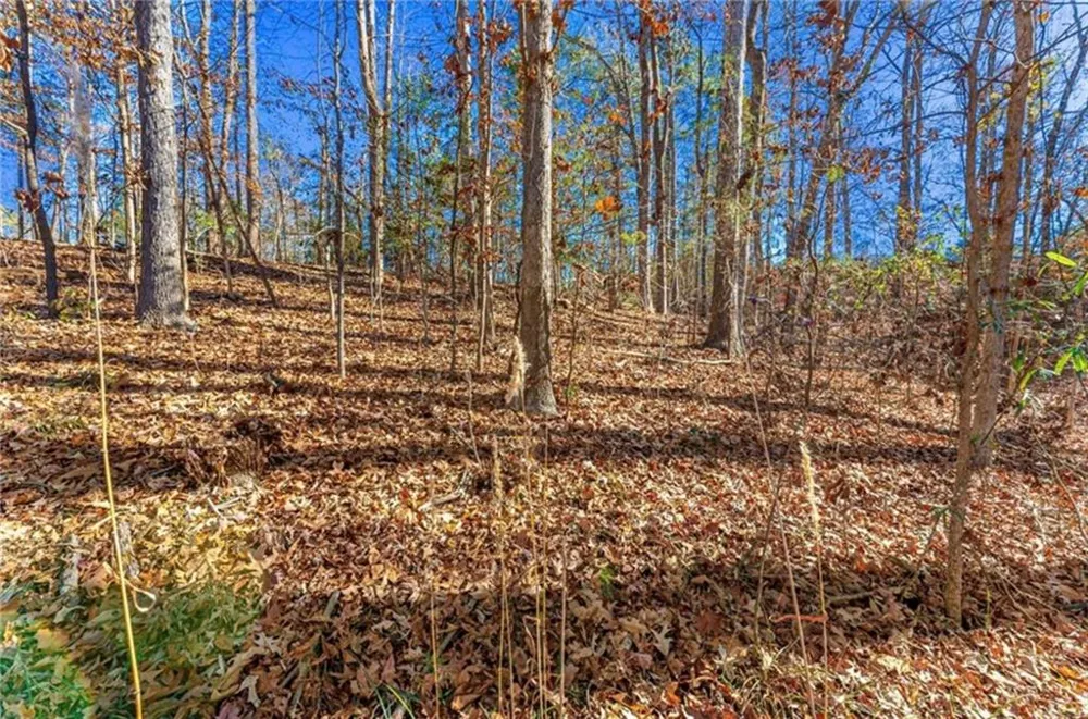 0 Mountain View Road Lavonia, GA 30553