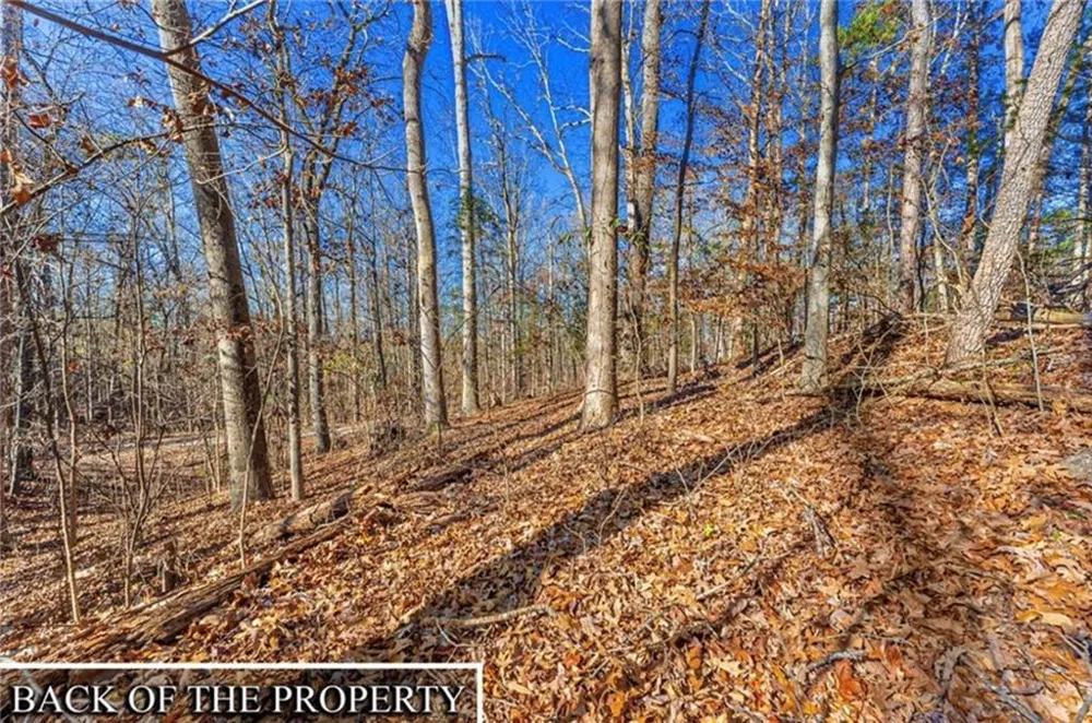 0 Mountain View Road Lavonia, GA 30553