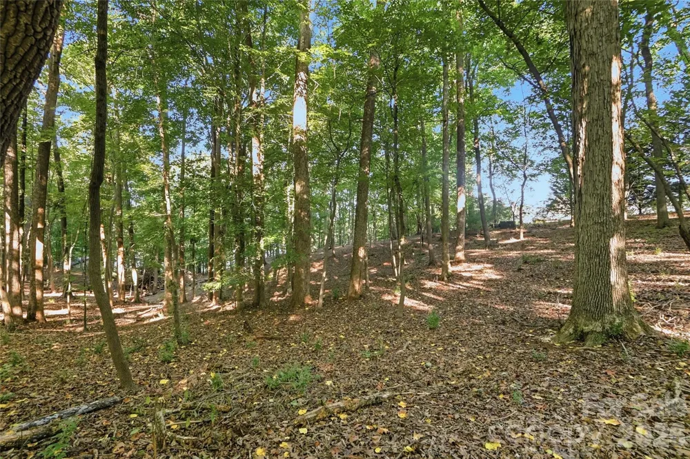 9710 Windygap Road Charlotte, NC 28278