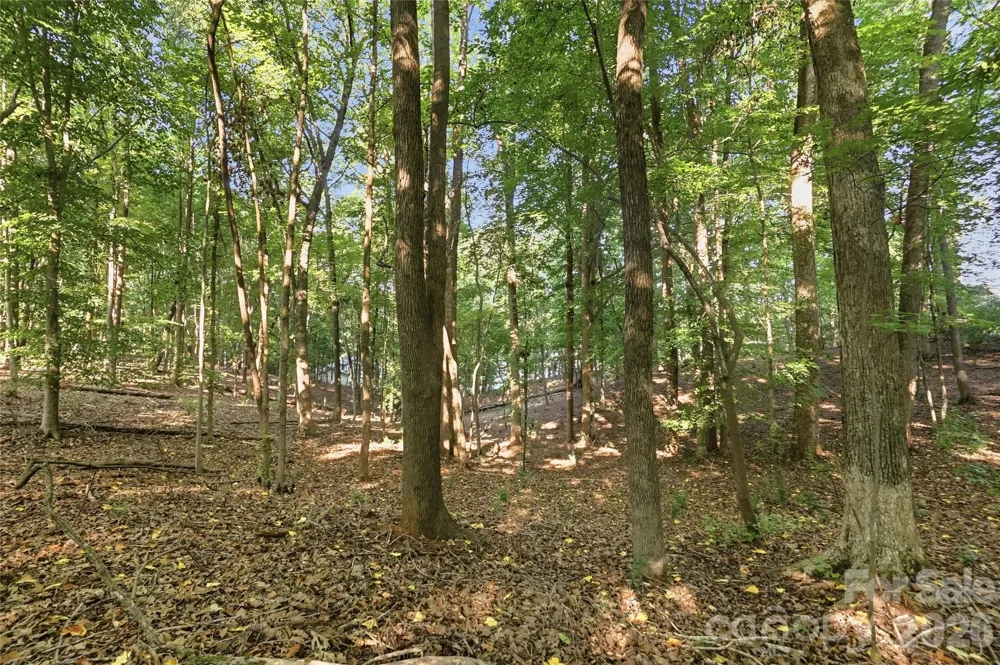 9710 Windygap Road Charlotte, NC 28278