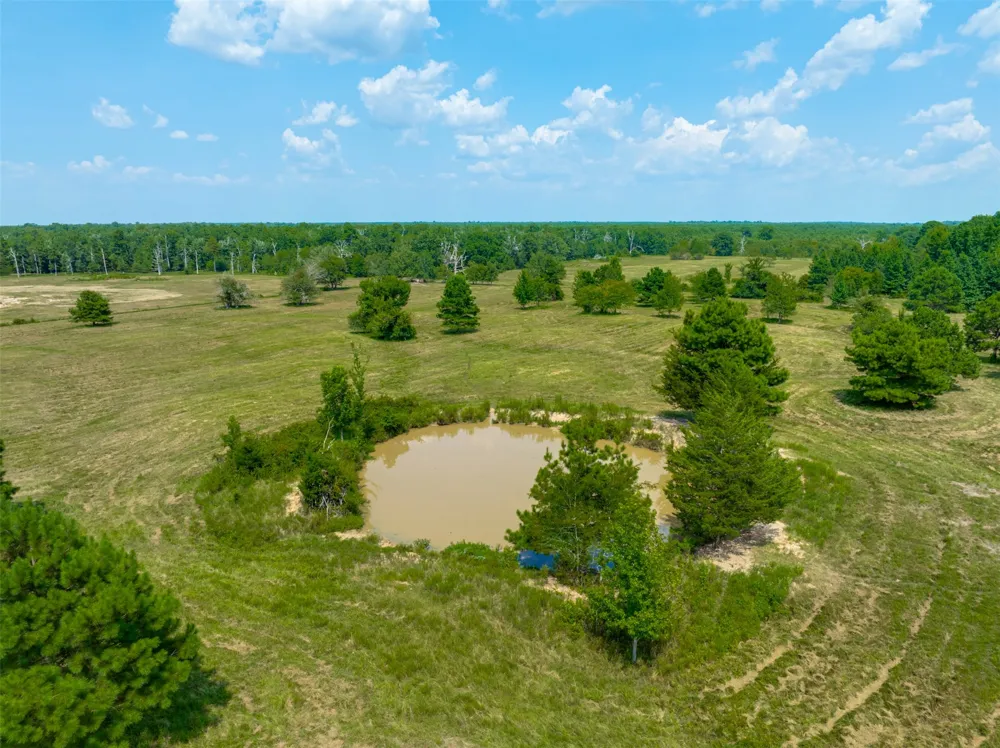 1521 County Road 3117 Clarksville, TX 75426