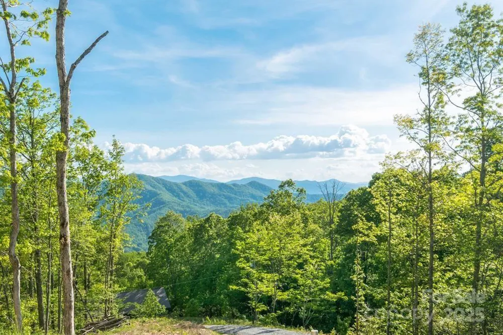 242 Crossview Drive Bryson City, NC 28713