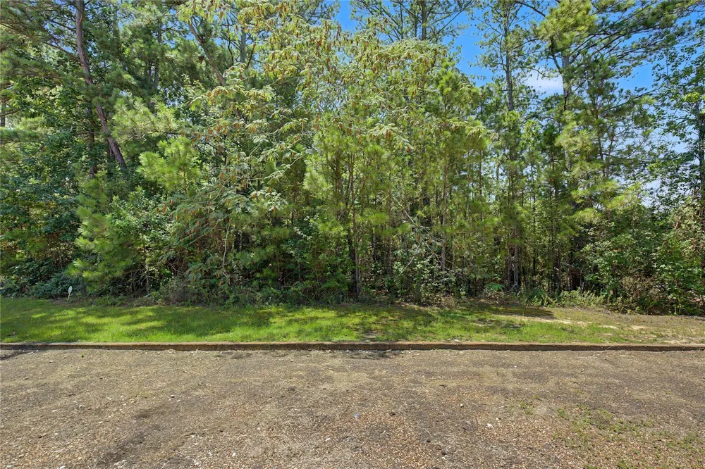 Lake Road Huntsville, TX 77340
