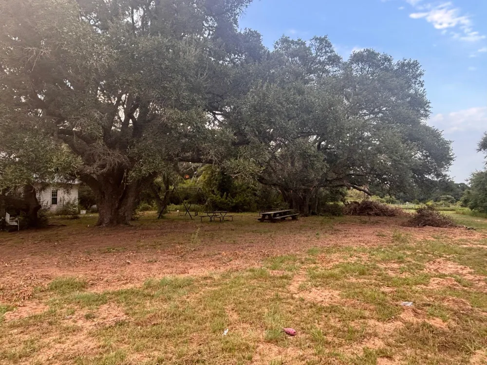 3295 Fm 949 Cat Spring, TX 78933