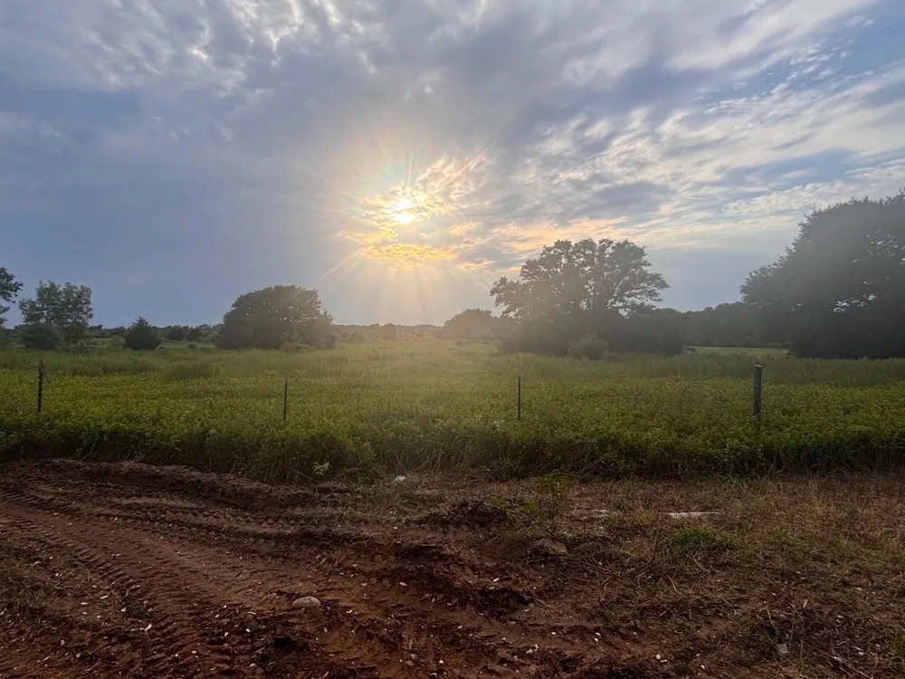 3295 Fm 949 Cat Spring, TX 78933