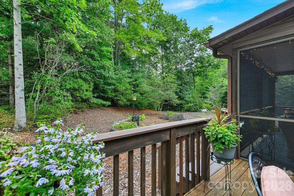 542 Soquili Drive Brevard, NC 28712