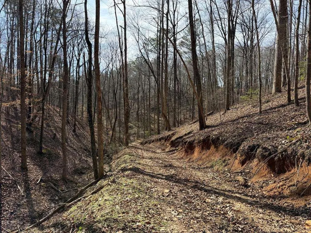 131 Nicholson Lane Talking Rock, GA 30175