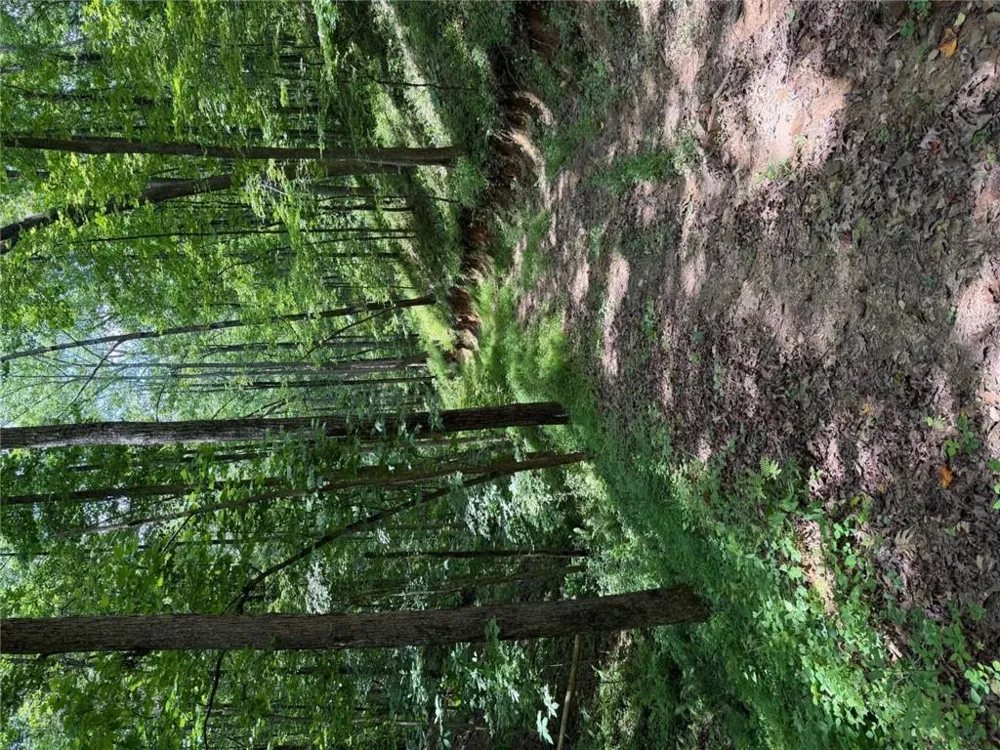 131 Nicholson Lane Talking Rock, GA 30175