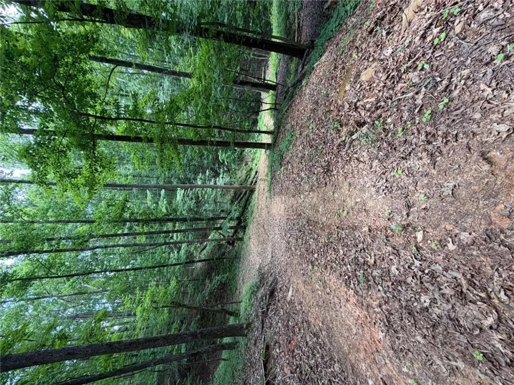 131 Nicholson Lane Talking Rock, GA 30175