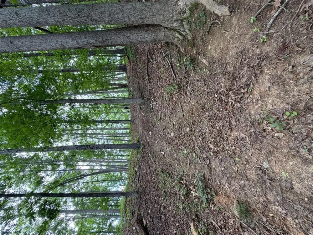 131 Nicholson Lane Talking Rock, GA 30175