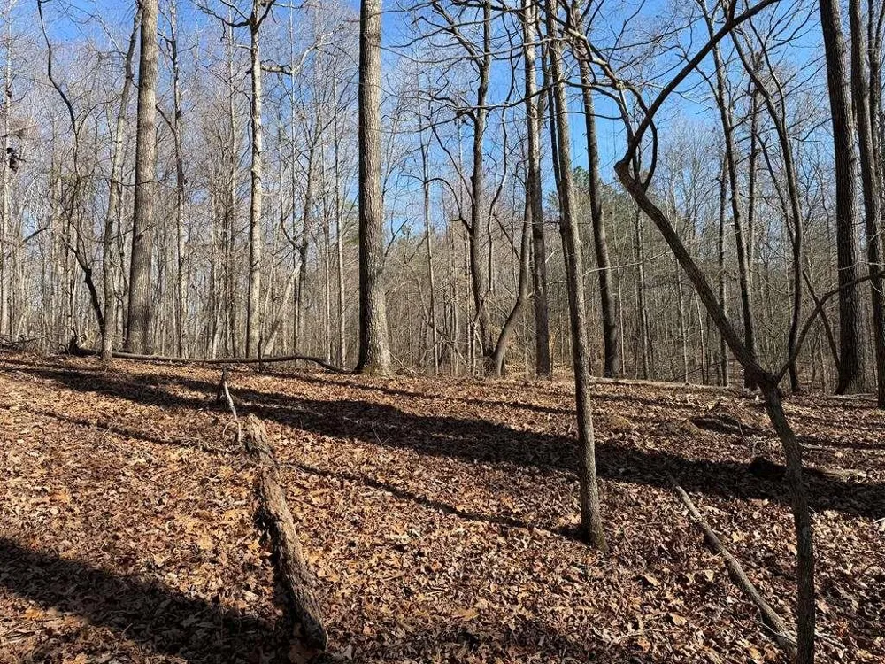 131 Nicholson Lane Talking Rock, GA 30175
