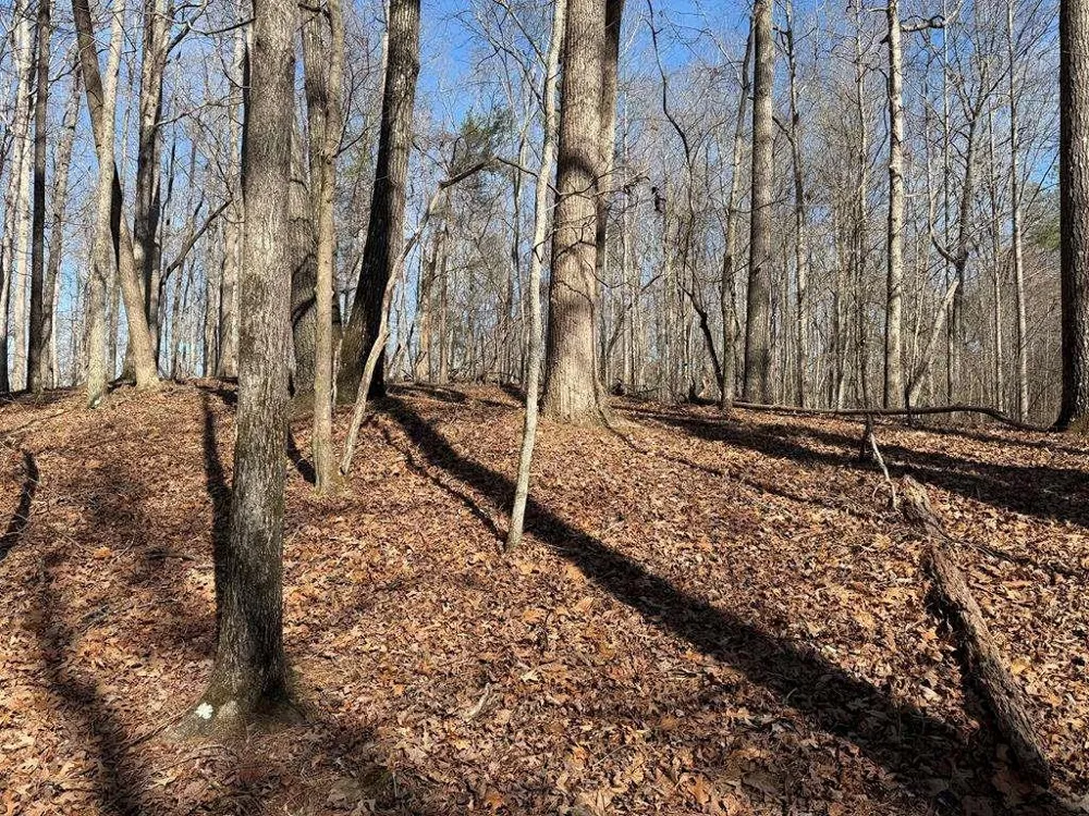 131 Nicholson Lane Talking Rock, GA 30175