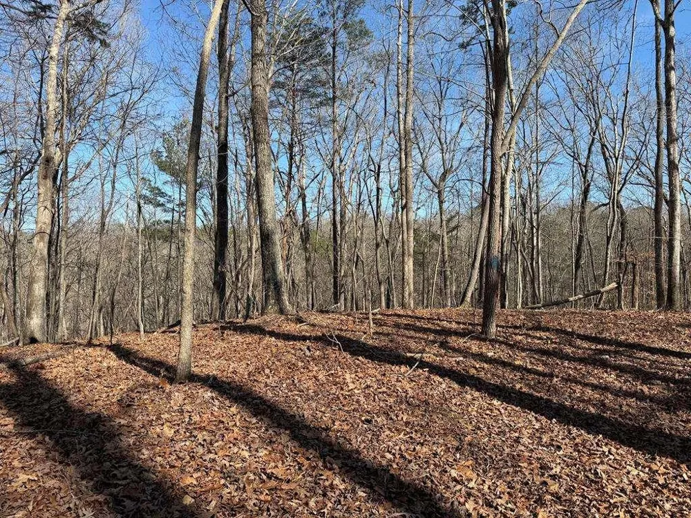 131 Nicholson Lane Talking Rock, GA 30175