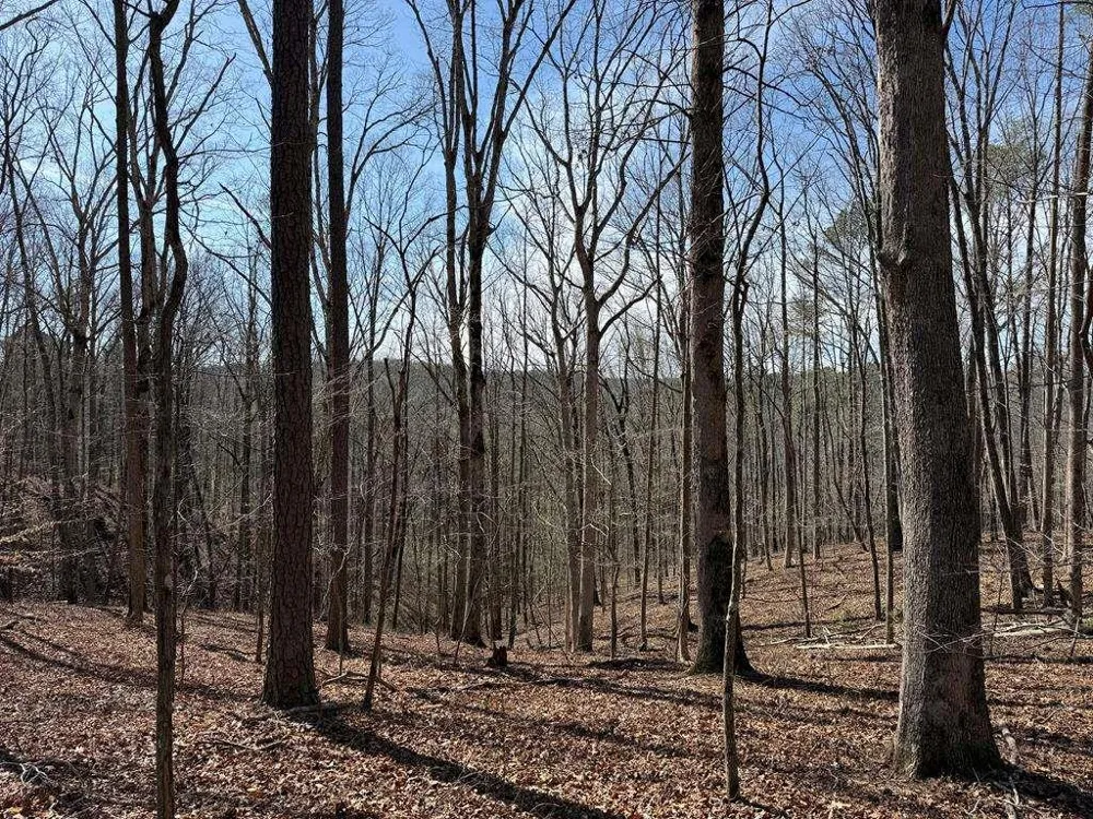 131 Nicholson Lane Talking Rock, GA 30175