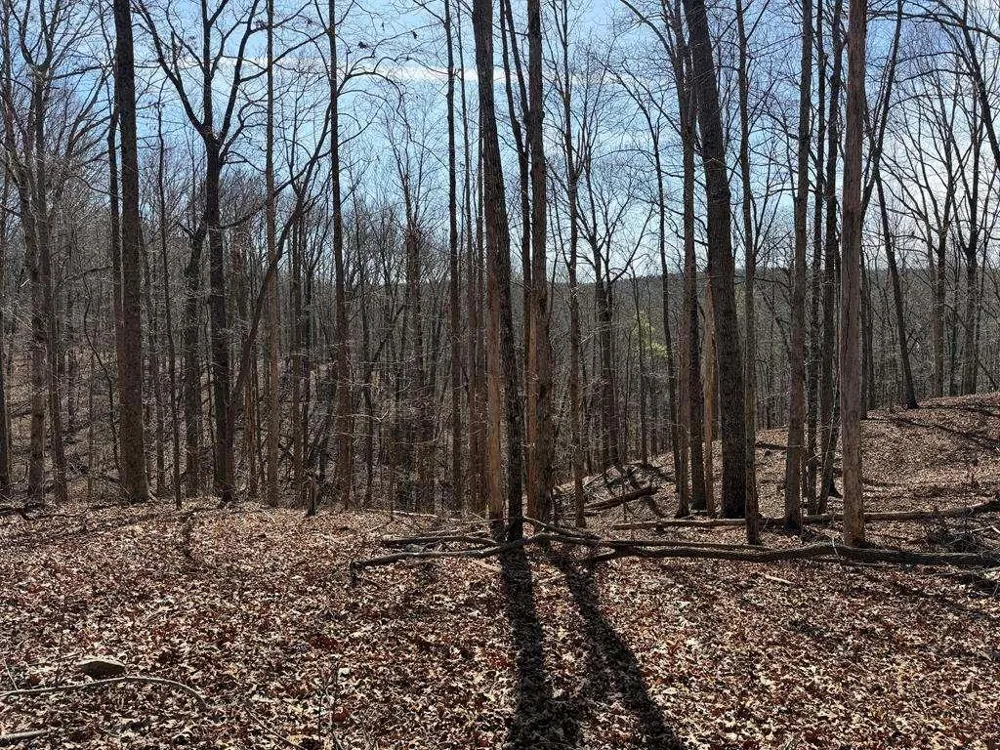 131 Nicholson Lane Talking Rock, GA 30175
