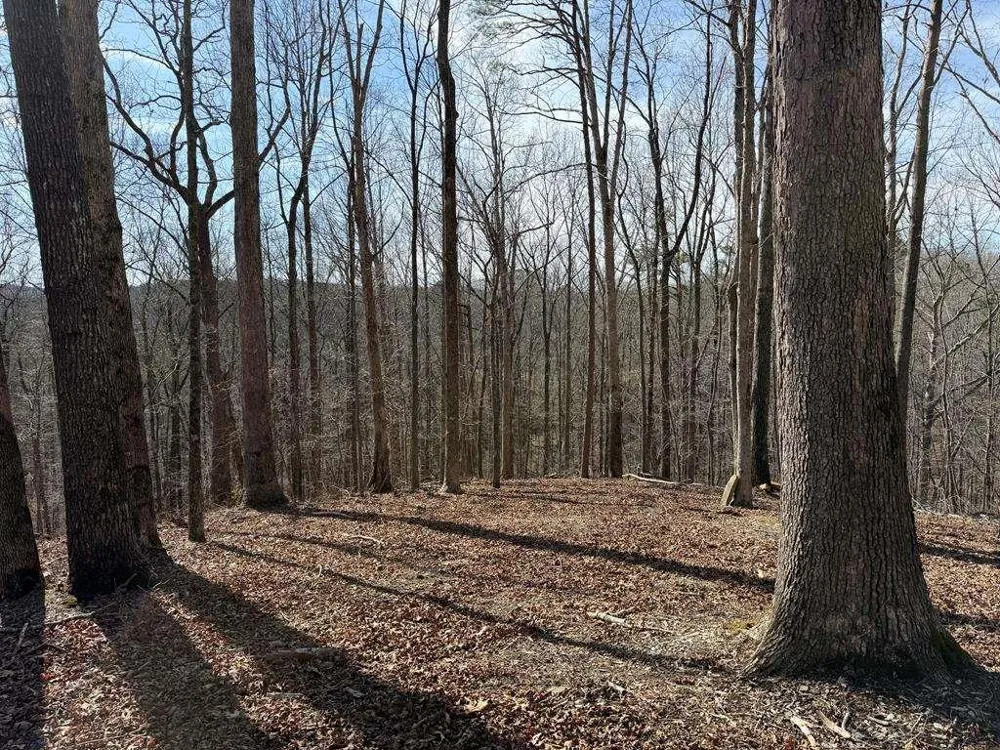 131 Nicholson Lane Talking Rock, GA 30175