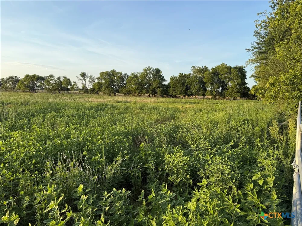 153 County Road 243 Kosse, TX 76653