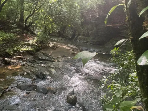 0 Mountain Brook Road