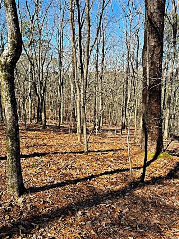 0 Overlook Drive Chatsworth, GA 30705
