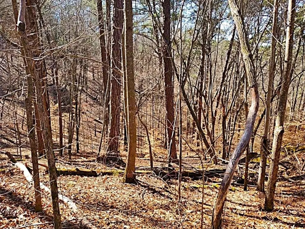 0 Overlook Drive Chatsworth, GA 30705