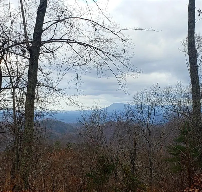 0 Overlook Drive Chatsworth, GA 30705