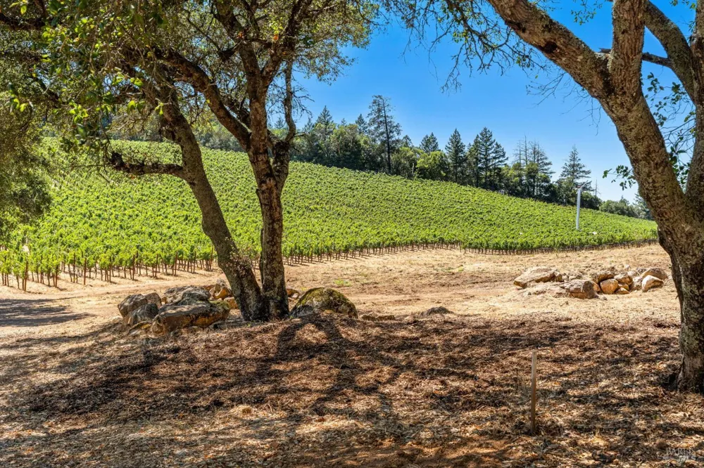 1075 Greenfield Road St. Helena, CA 94574