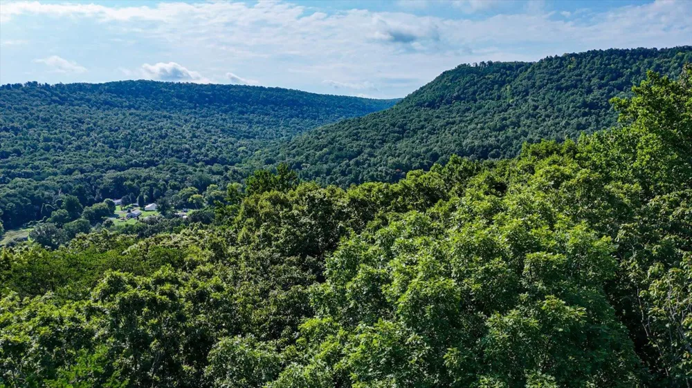 Tn-156 Guild, TN 37340